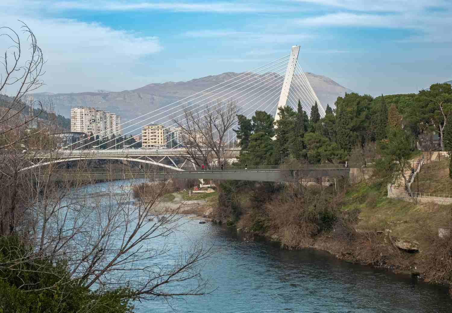 גשר המילניום מונטנגרו