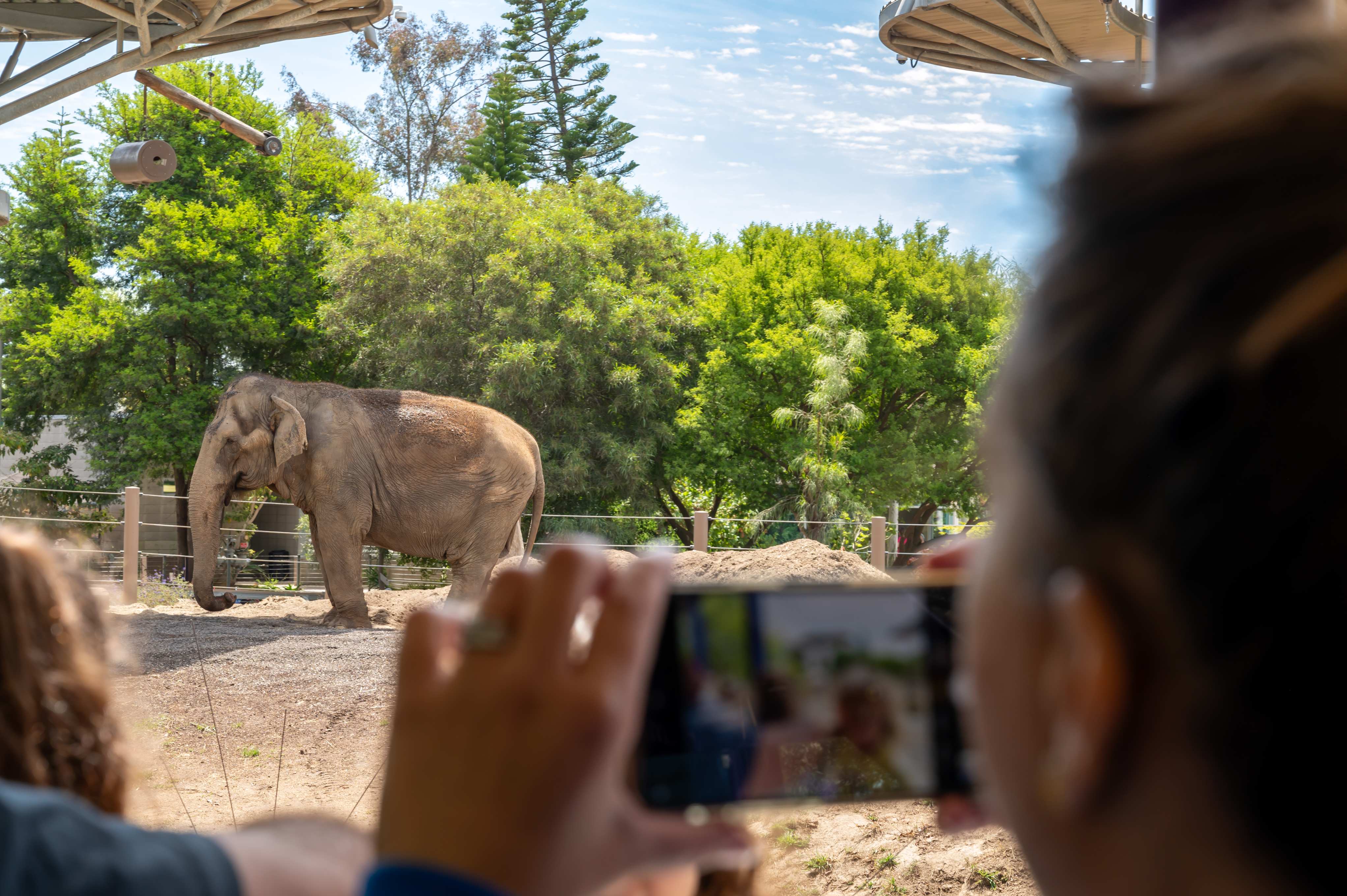 גן החיות סלוניקי - Thessaloniki Municipal Zoo